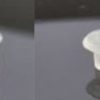 Suction Cup Medium & S