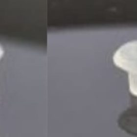 Suction Cup Medium & S
